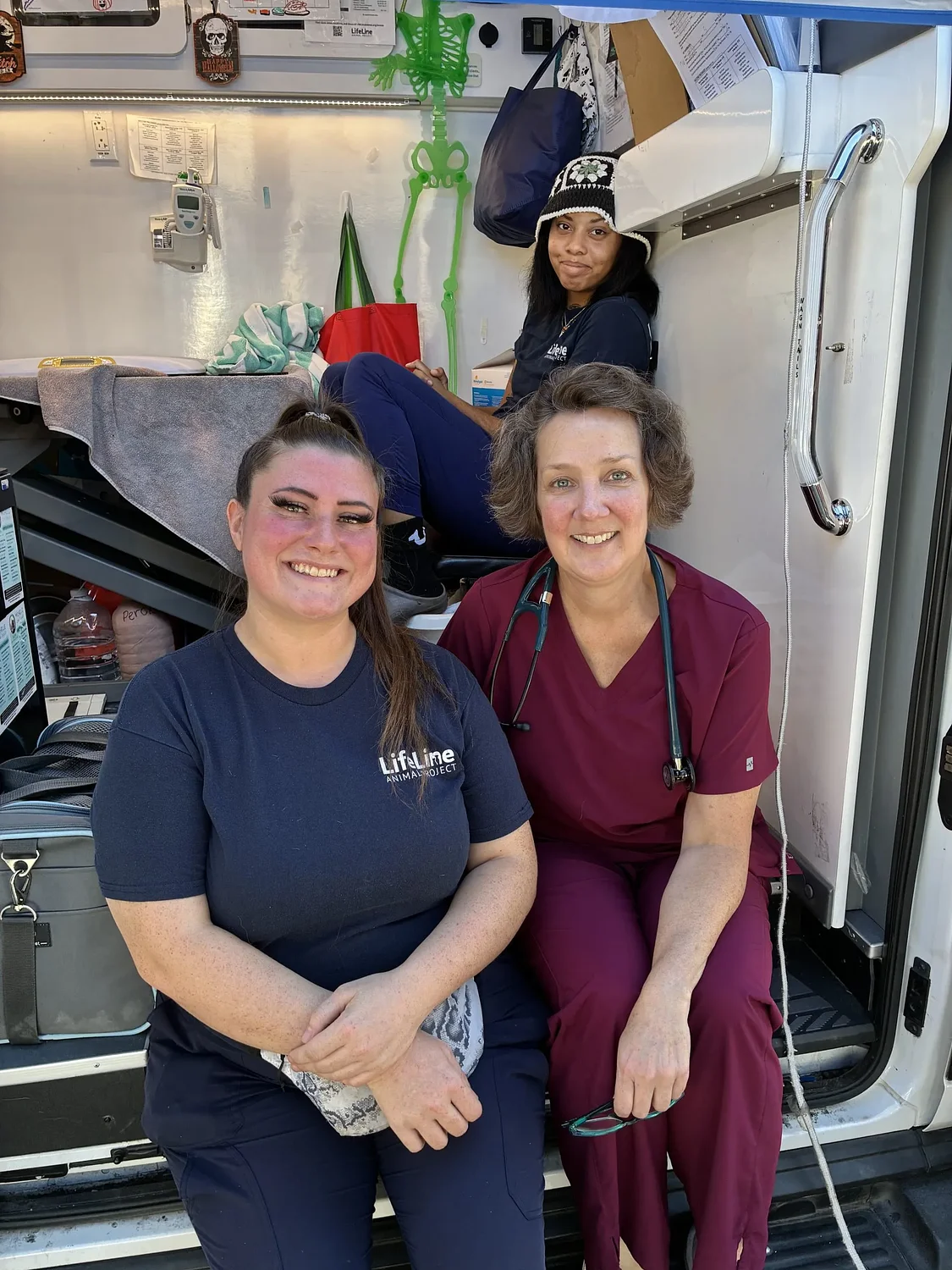 Community cats in Brookhaven receive free veterinary care and supplies