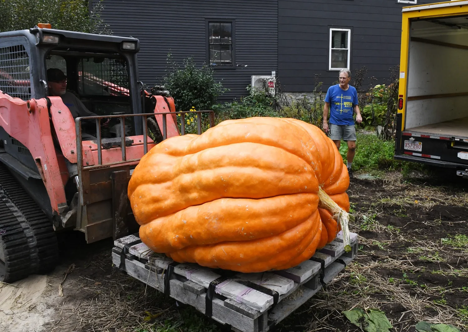 Go big or gourd home: After showing at Topsfield Fair, 1,274-pound pumpkin to be displayed in Shelburne Falls for Halloween