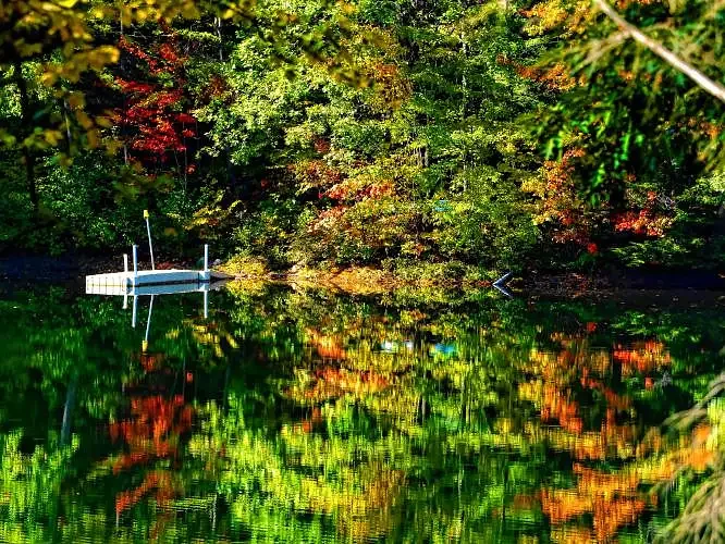 Arts Ahead: See the autumn foliage in annual Warner festival