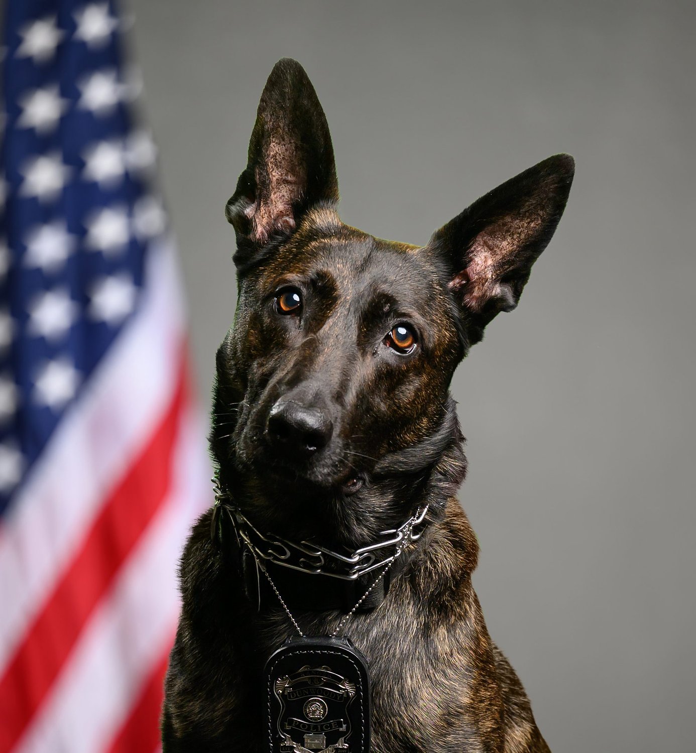 Ranger, Dunwoody's first K-9 officer, has died