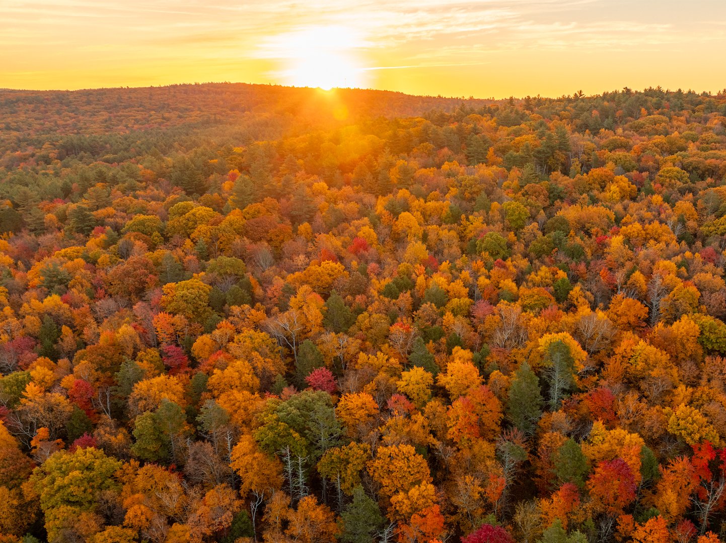 Pioneer Valley land trusts back state ballot measure to fund conservation