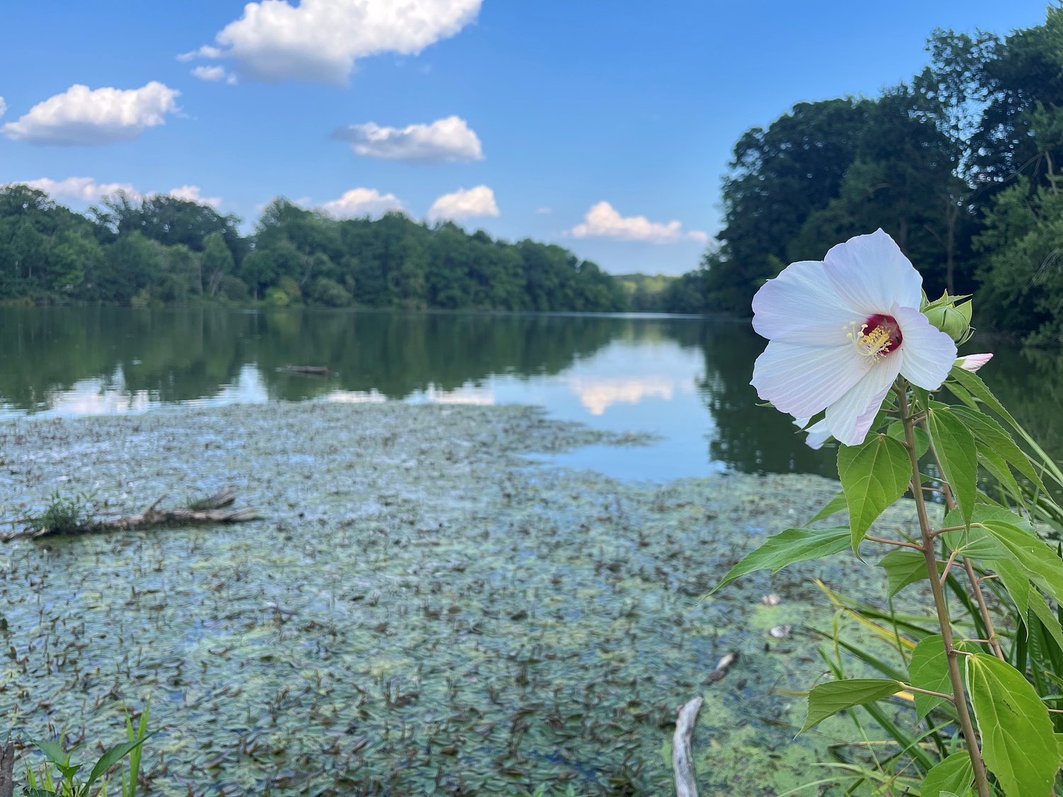 ‘If you want the lake, pay for the lake:’ The argument at the heart of the Shaker Lakes fight