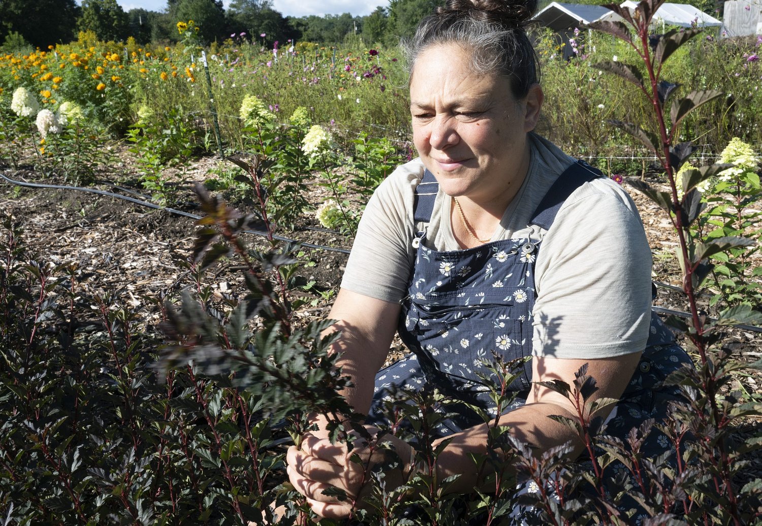 Valley Bounty: Flowerwork Farm cultivates flowers, inclusion and connection through regenerative farming