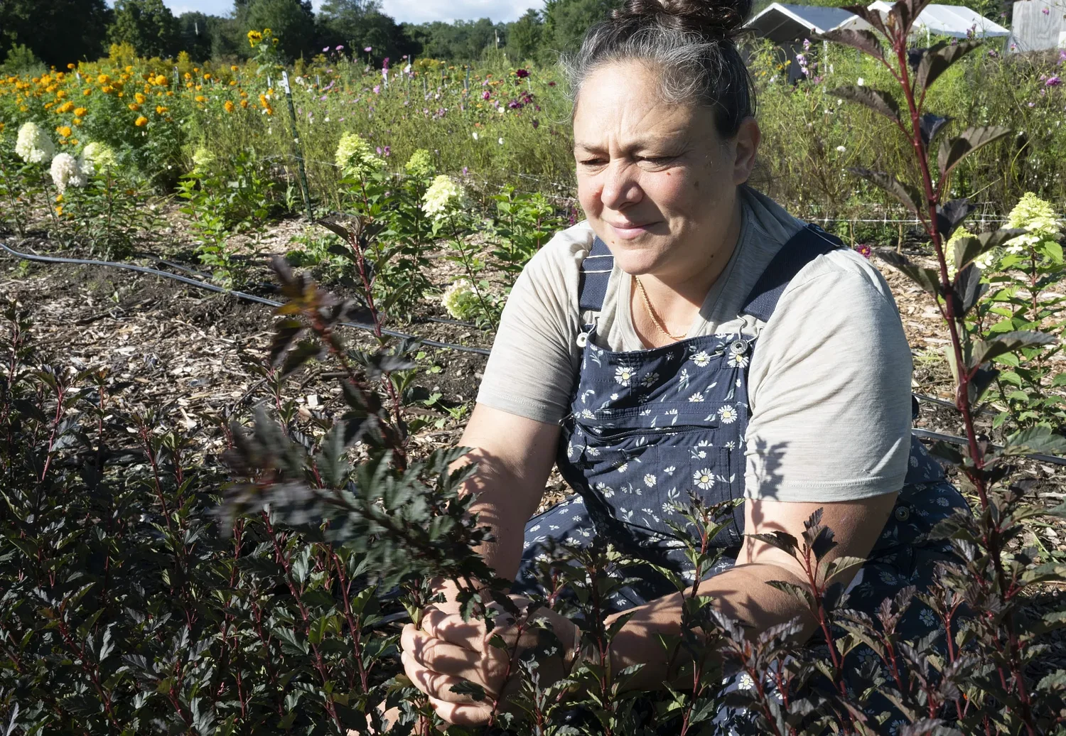 Valley Bounty: Flowerwork Farm cultivates flowers, inclusion and connection through regenerative farming
