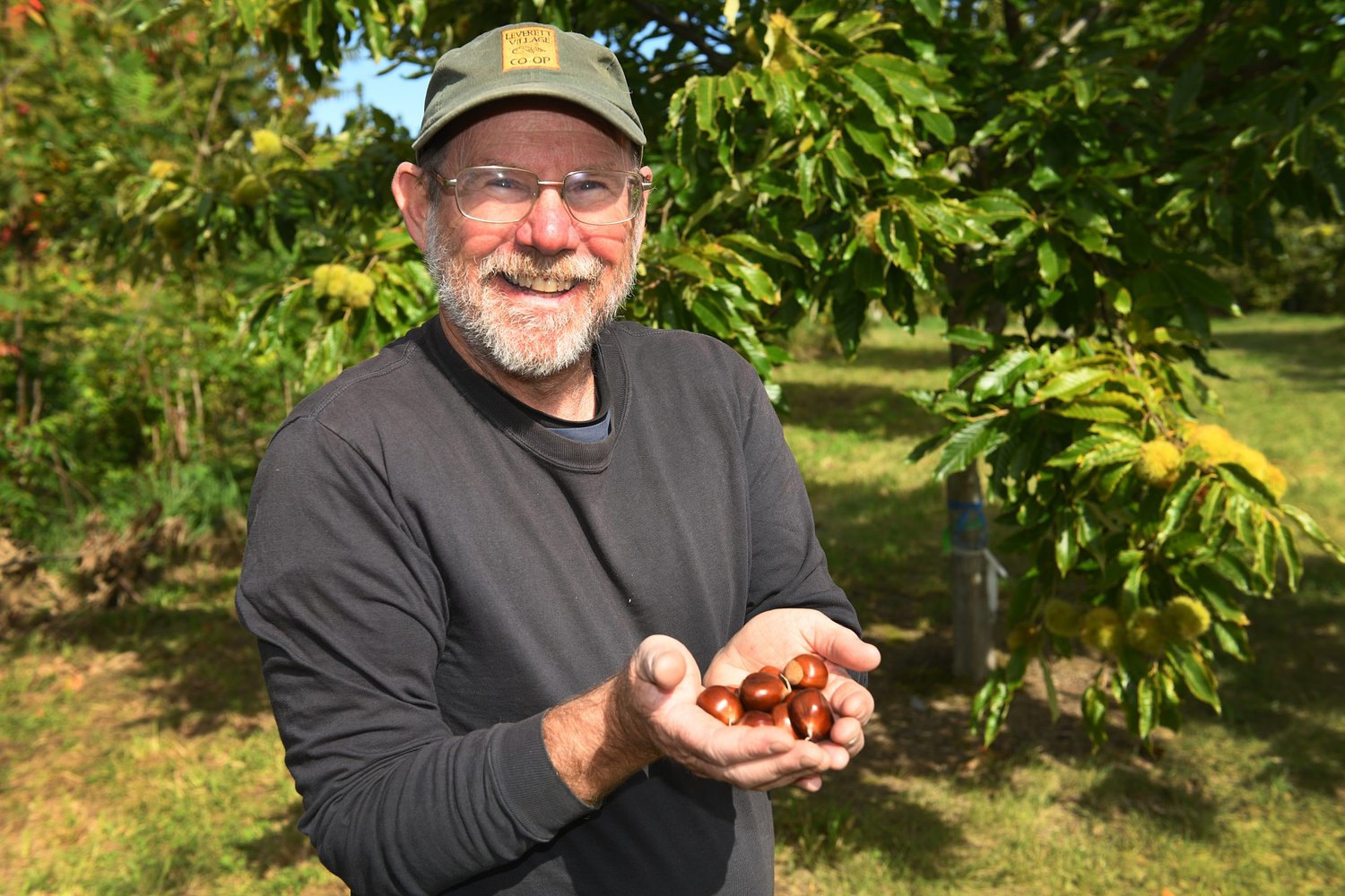 Valley Bounty: Bringing back the chestnut