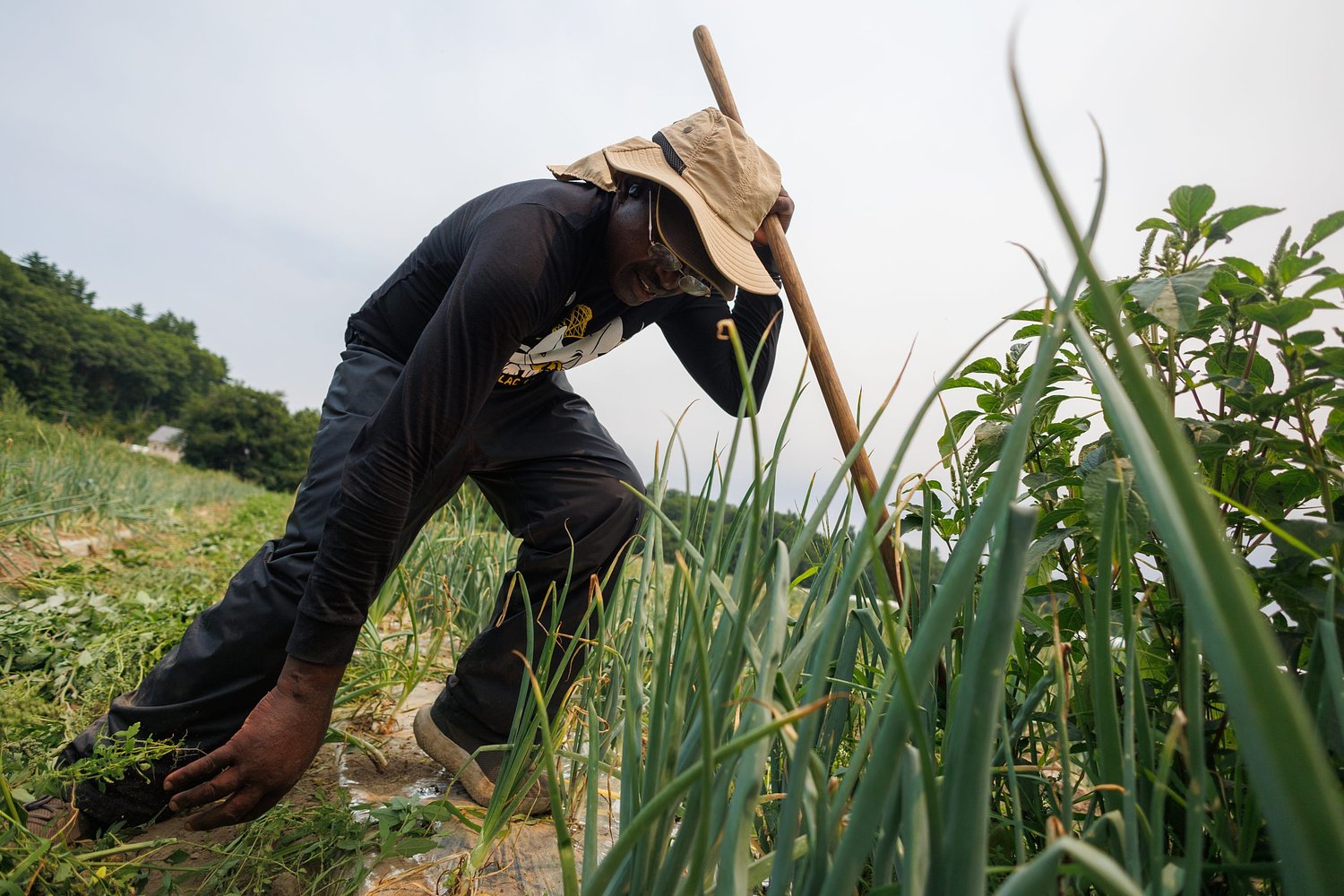 Common Ground: For growers and farmworkers, 'these people are my home'