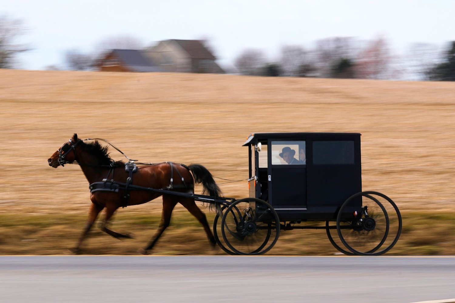 How an Orthodox Jewish scholar found an unexpected home among the Amish
