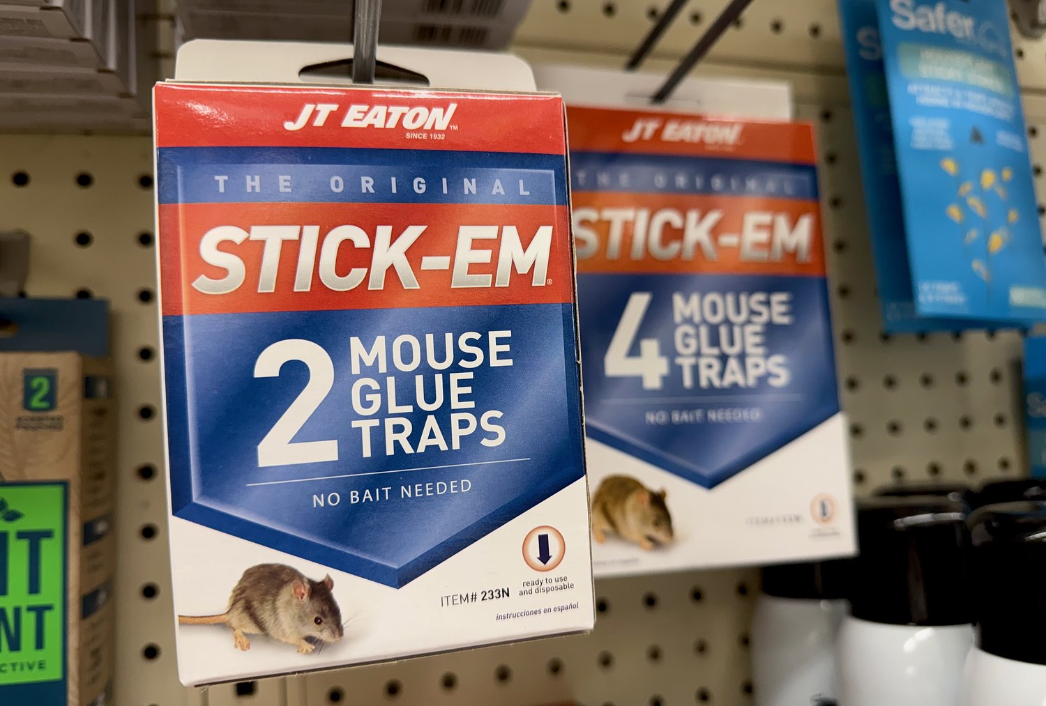 ‘No place in our society.’ Ban on inhumane glue traps gets Ann Arbor’s final OK