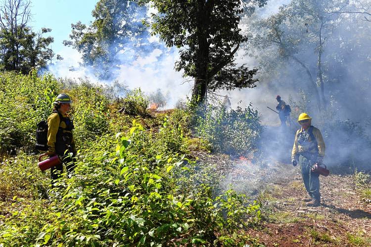 MassWildlife plans prescribed fire in Leyden on Thursday