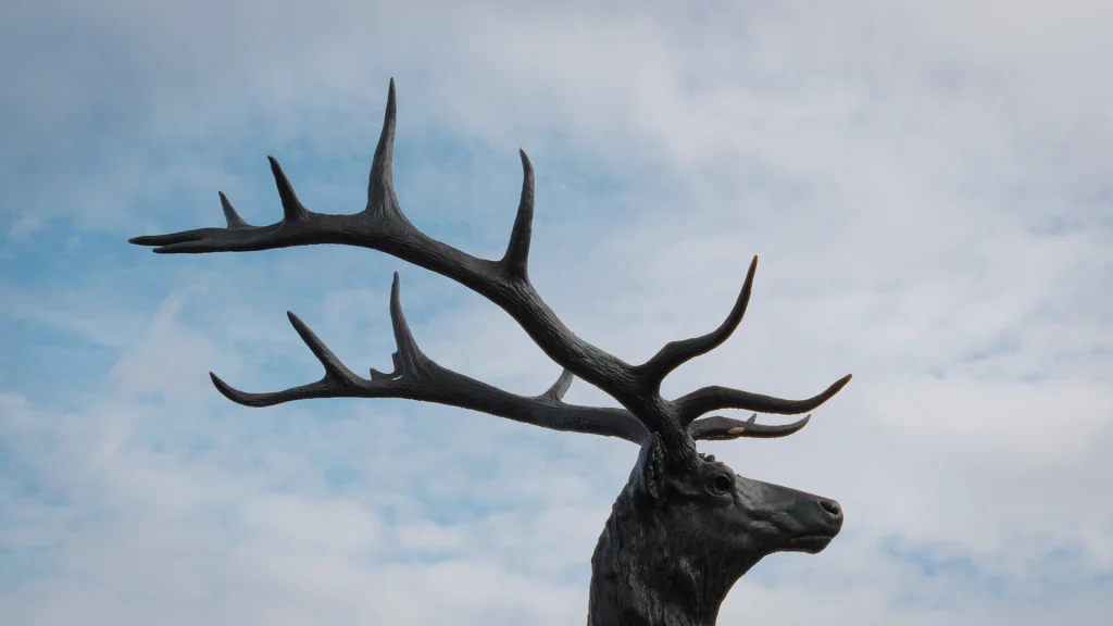 How Did So Much Portland History End Up in The Elk?