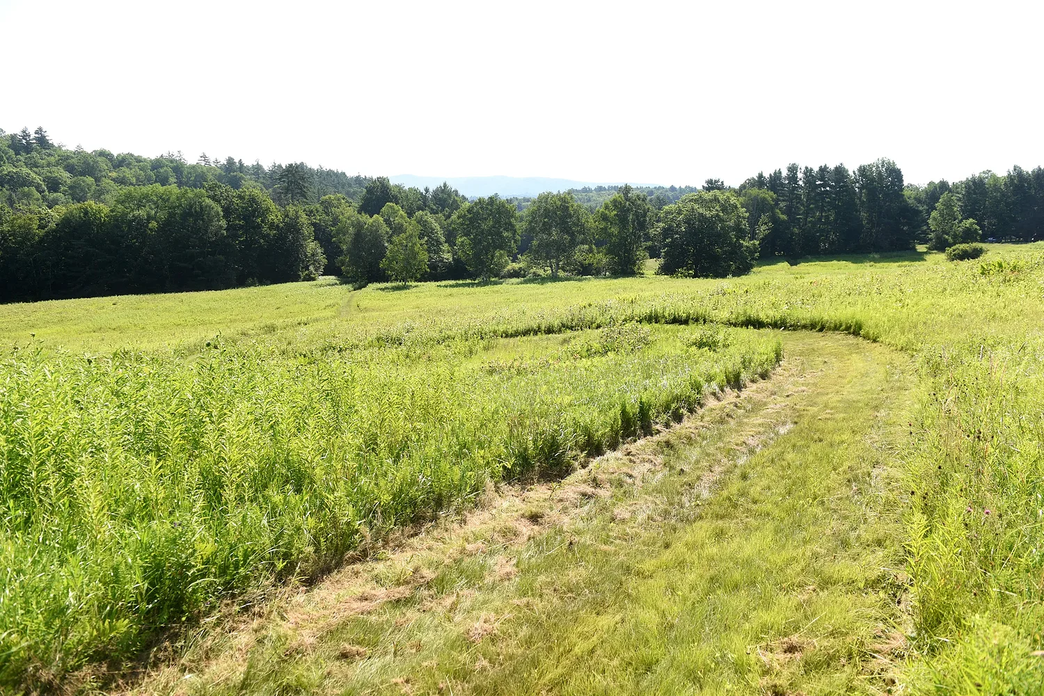 Hanover subdivision approval threatens wetlands, neighbors say