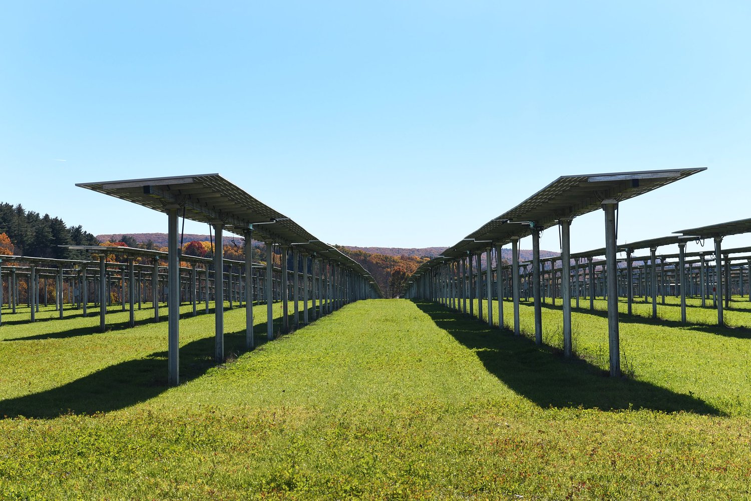 BlueWave Solar's Pine Meadow Road arrays cross the finish line in Northfield