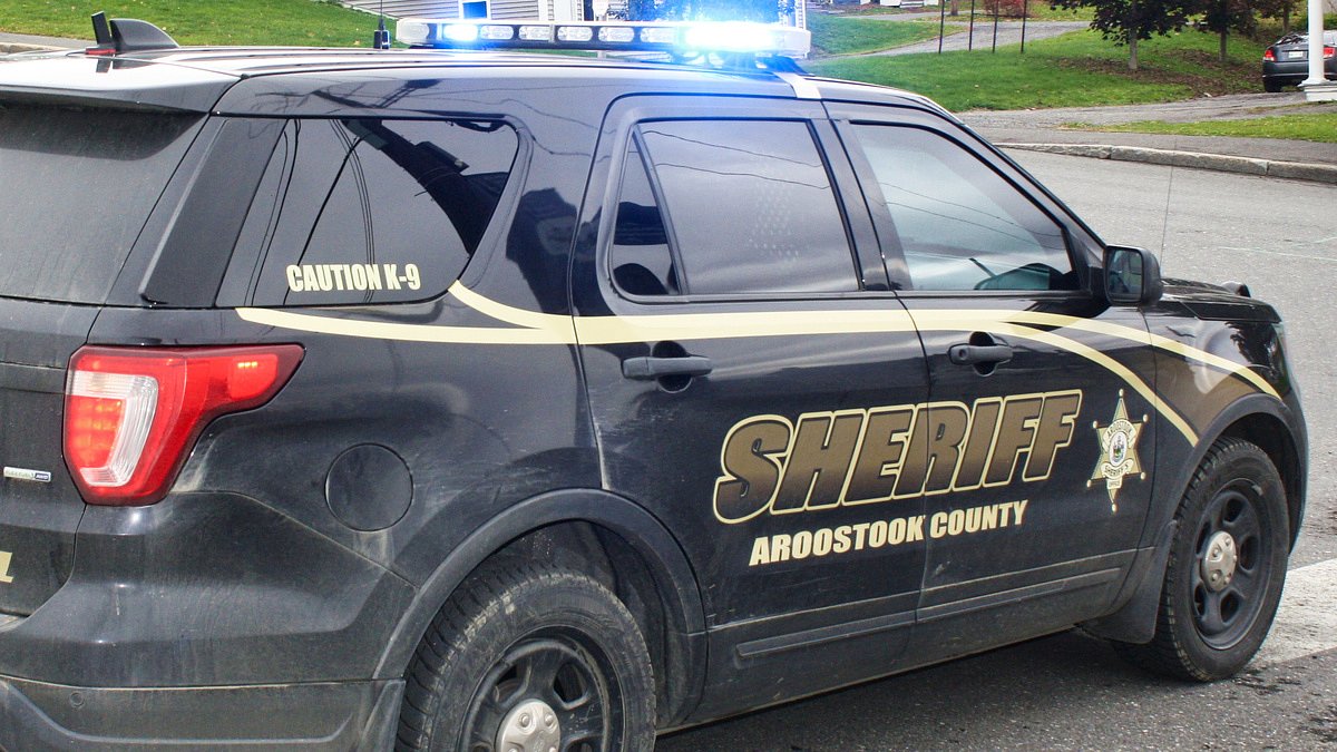 Woodland man arrested after allegedly pointing gun at sheriff’s deputy