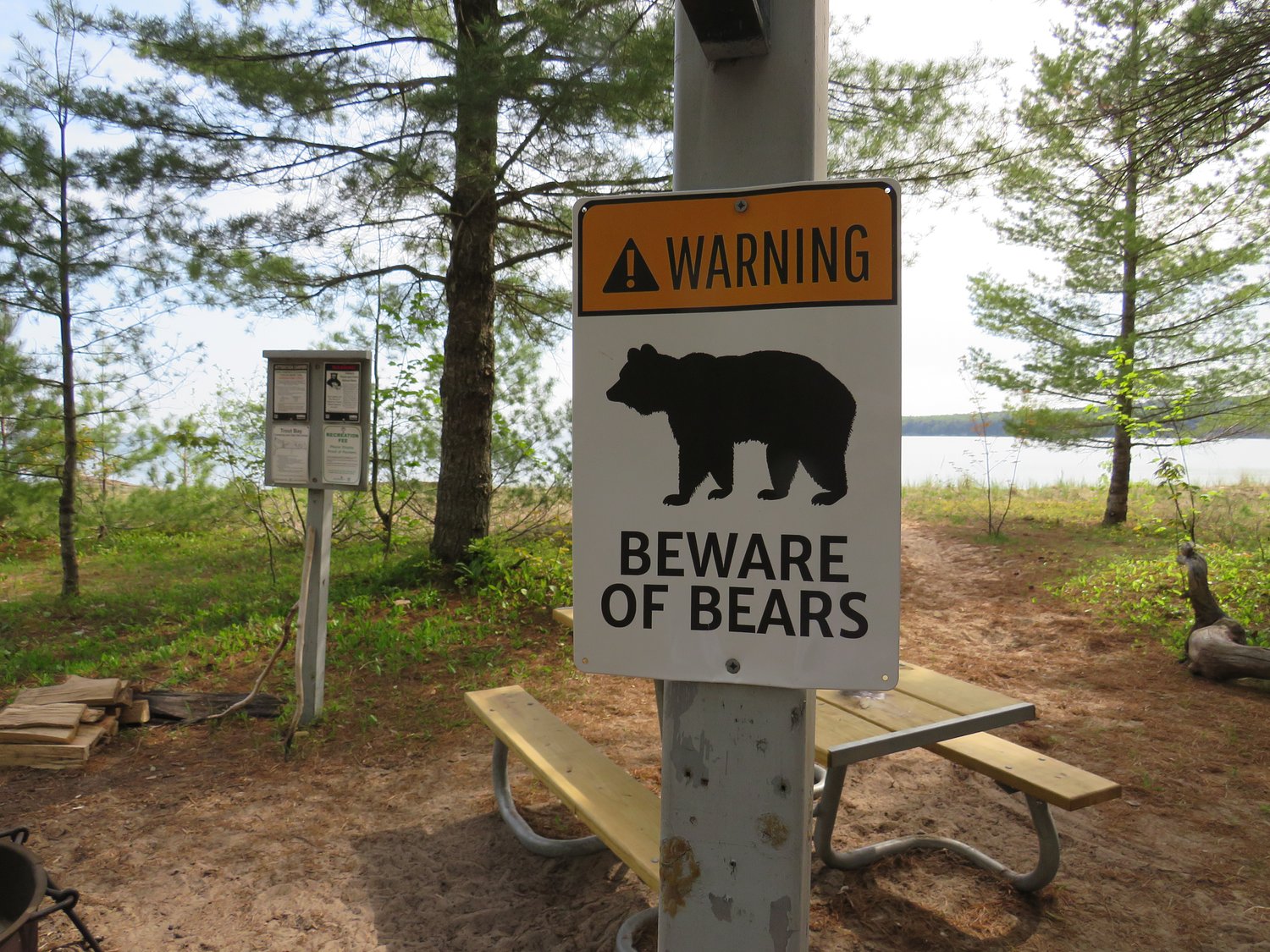 Mass. park closed Friday after several black bear sightings in the area
