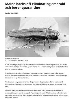 Maine backs off eliminating emerald ash borer quarantine