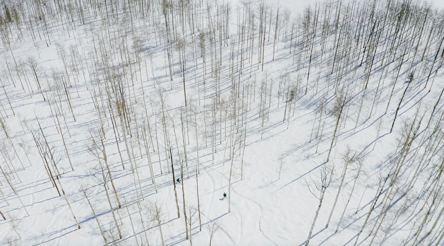 Peak Perks: Texas Travelers Are Saving Big with Colorado Mountain Club