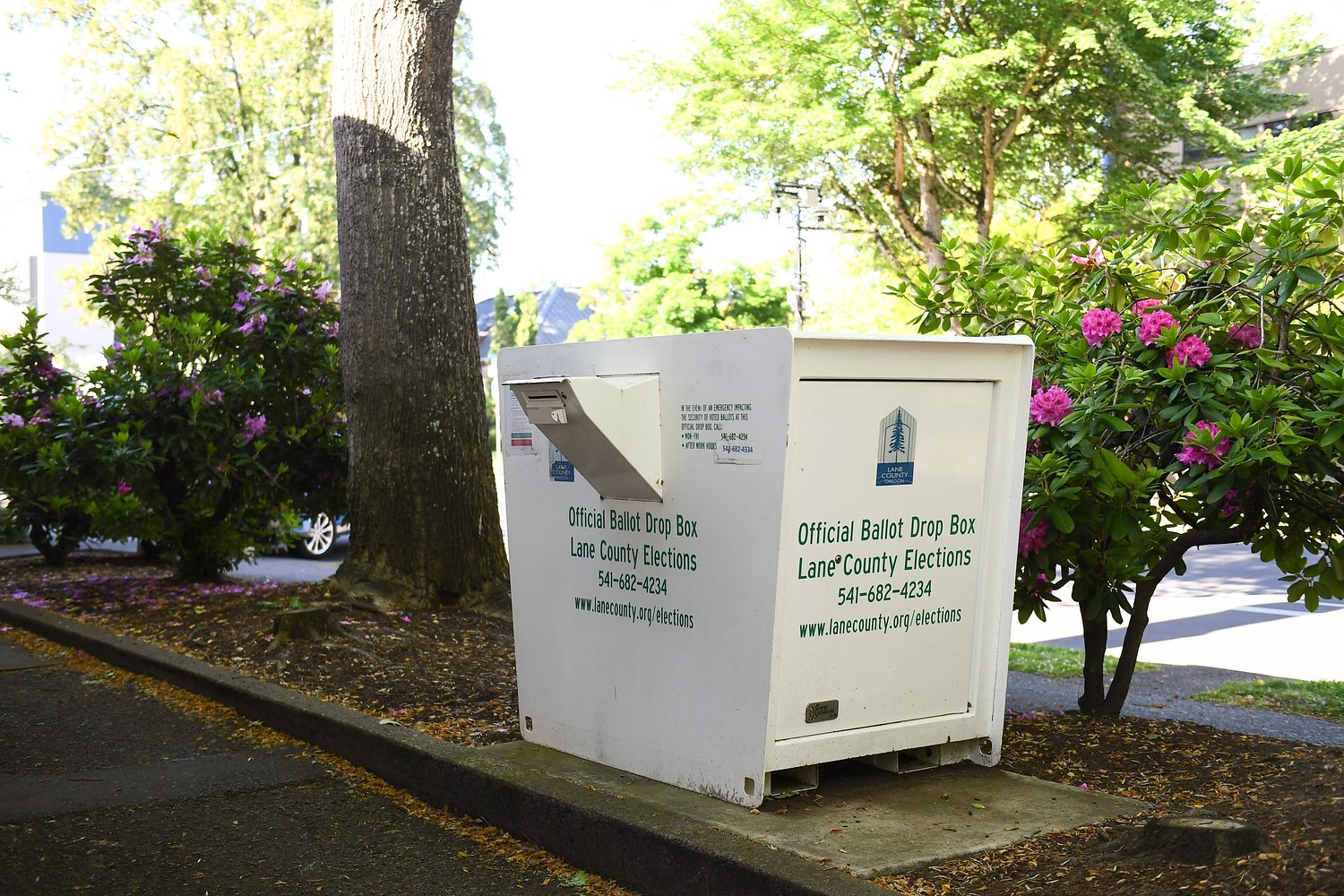 About 25% of active Oregon voters have turned in their ballots so far