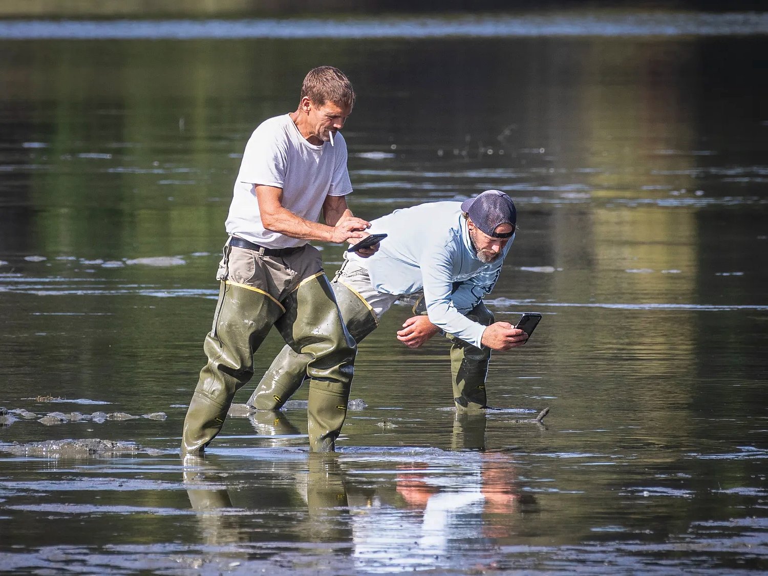 Toxic algae bloom suspected in midcoast shellfish die-off