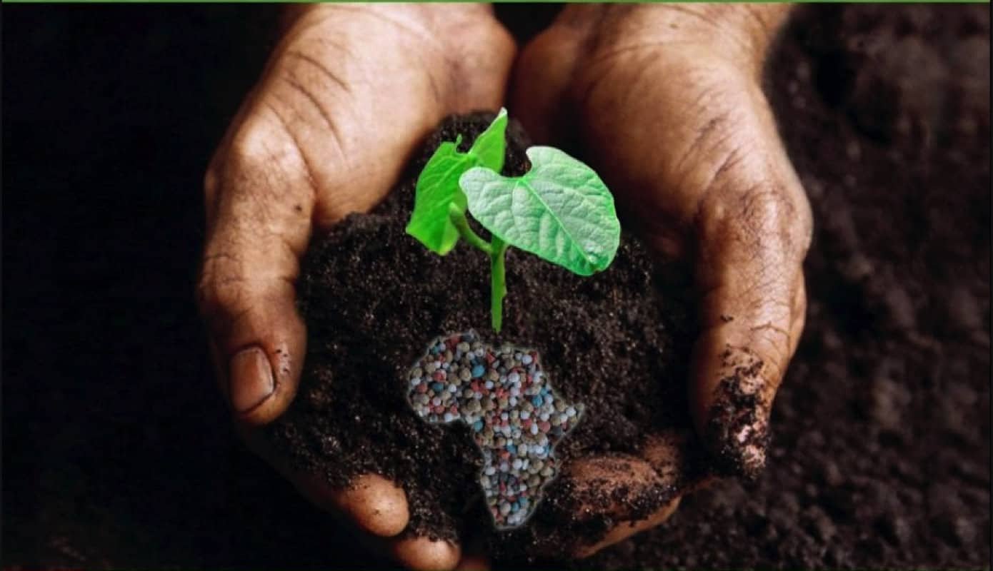 Report documents Gates Foundation's 'failing' Green Revolution for Africa