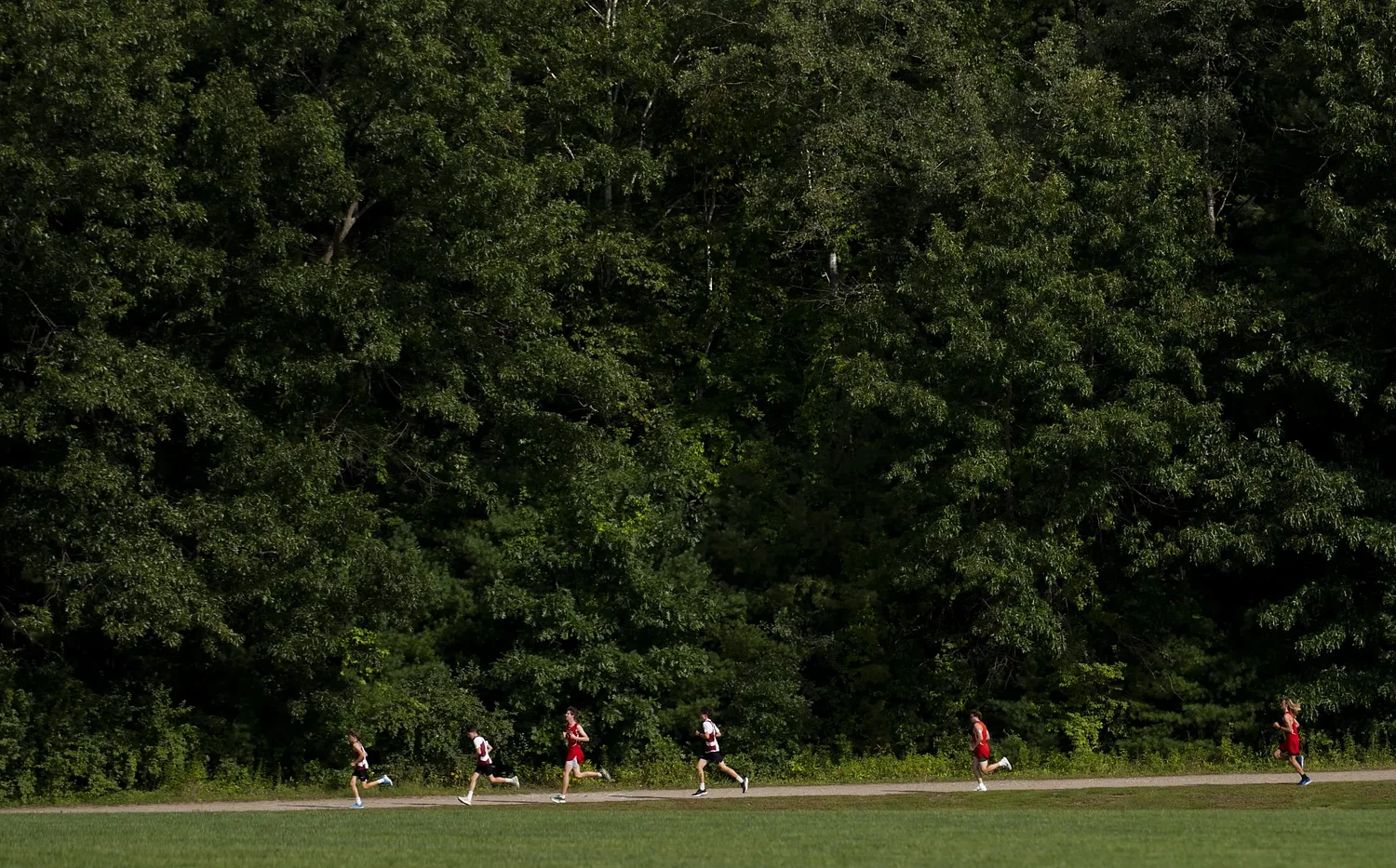 H.S. cross country preview: Area programs primed for success on the course