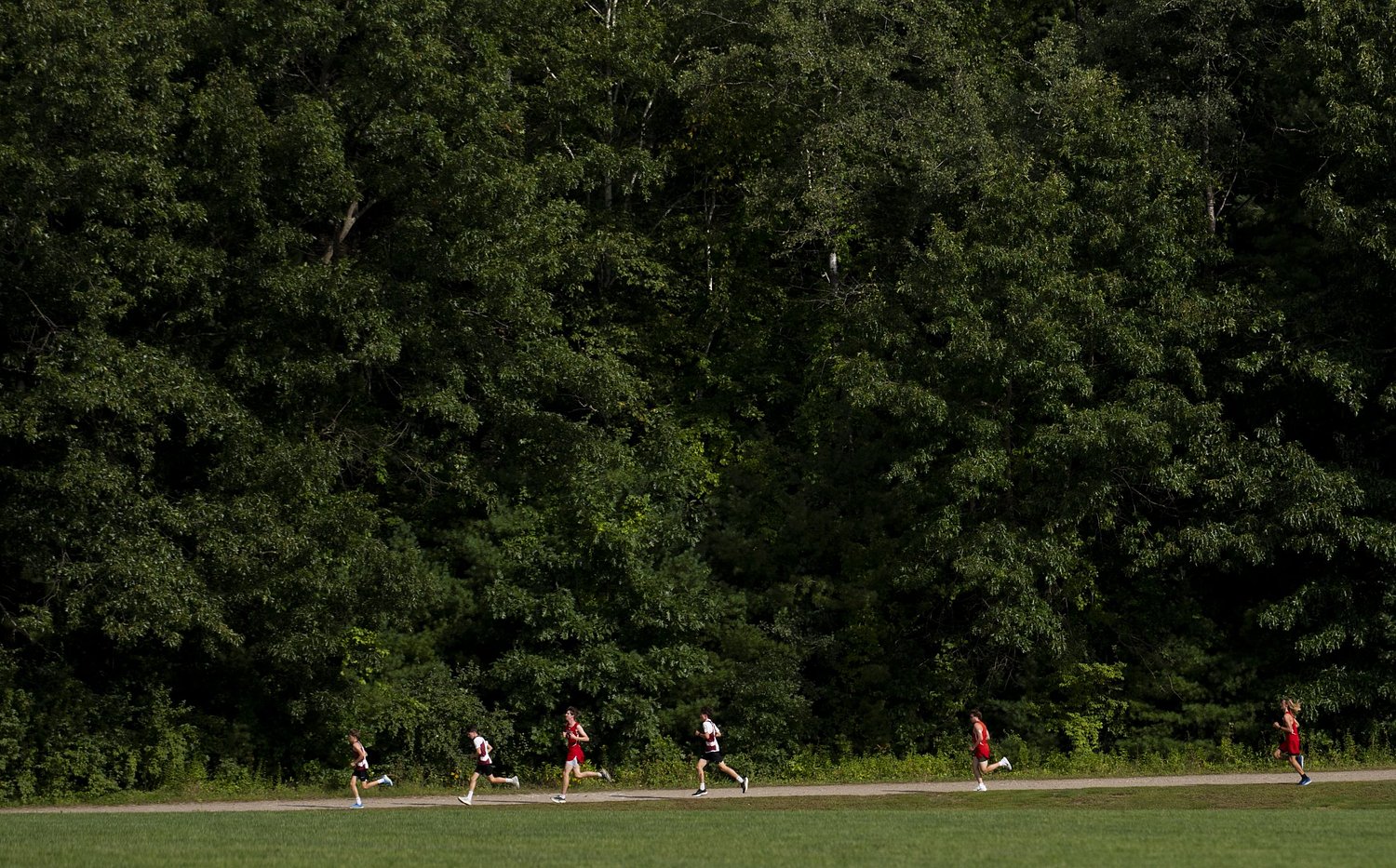 H.S. cross country preview: Area programs primed for success on the course