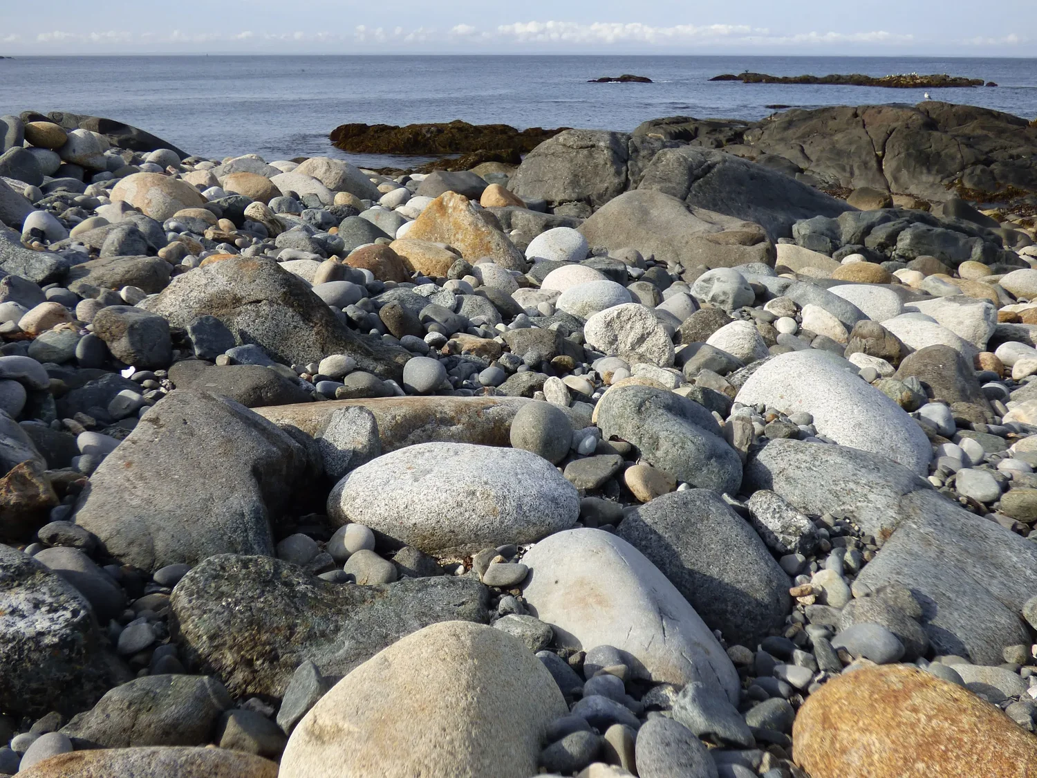 Earth Matters: The Canadian invasions