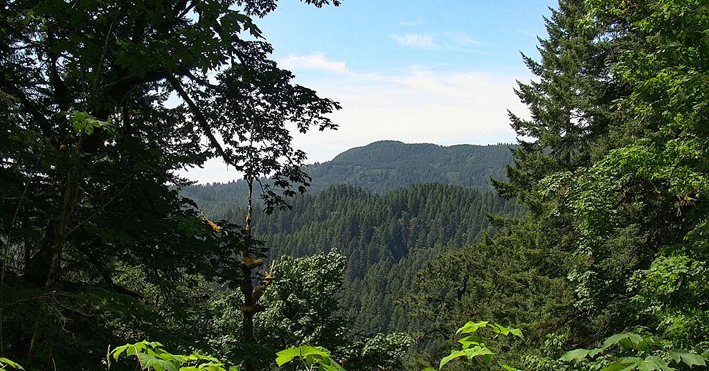 New plan would transfer 18,000 acres of USFS land to Grand Ronde