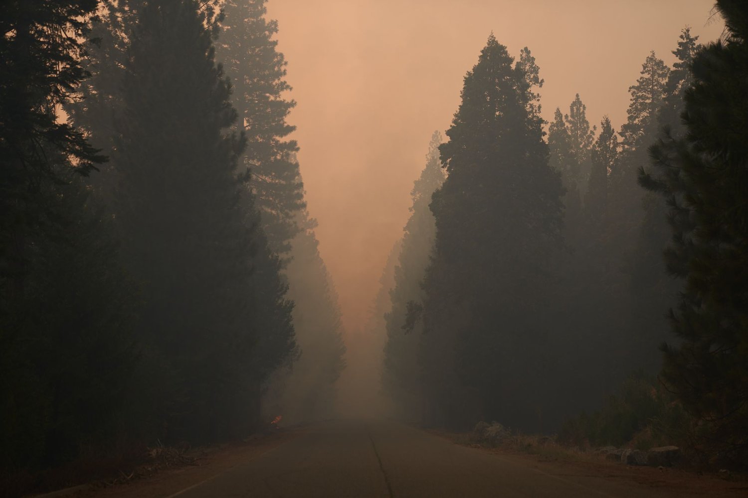 Woman's burned body found in 'fire footprint' in El Dorado County