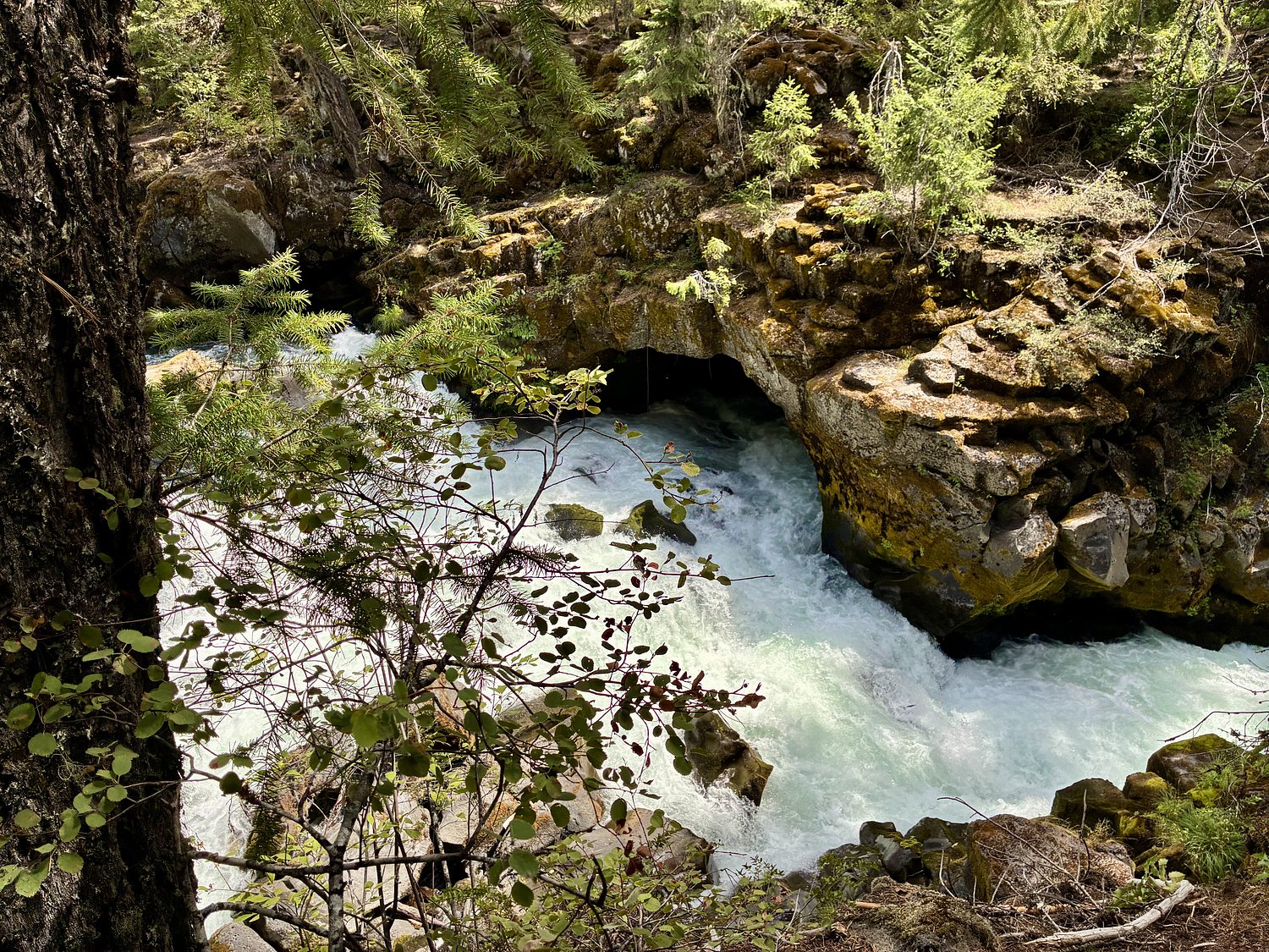See the Oregon spot where the Rogue River vanishes into a lava tube