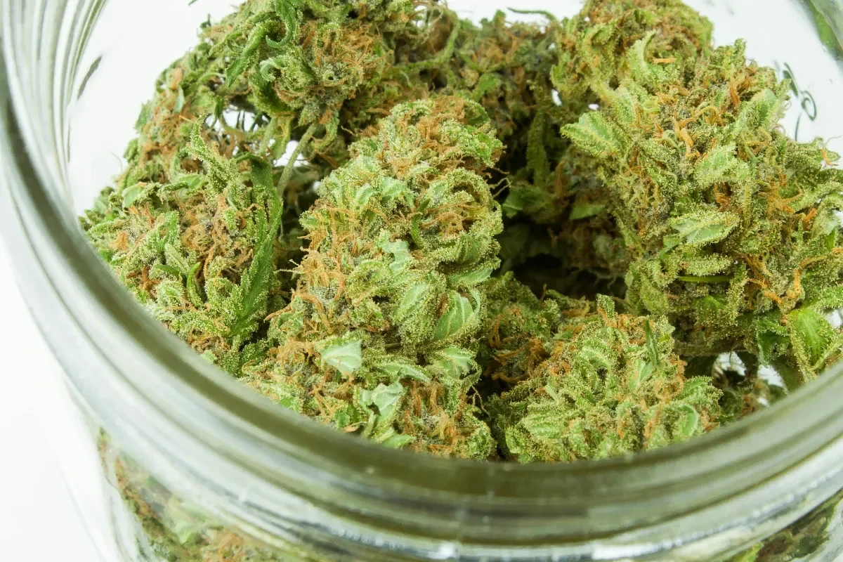 Kentucky research: CBD, THC combo can improve late-stage dementia patients’ quality of life