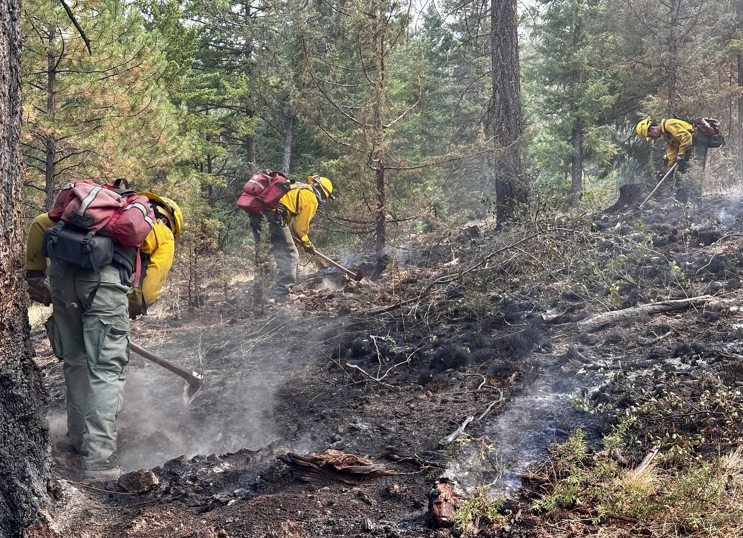 Good Morning, News: Wildfires Everywhere, People Still Hate Data Centers, and Maybe Business People Trashing on Portland Was a Bad Idea After All. By Jeremiah Hayden.
