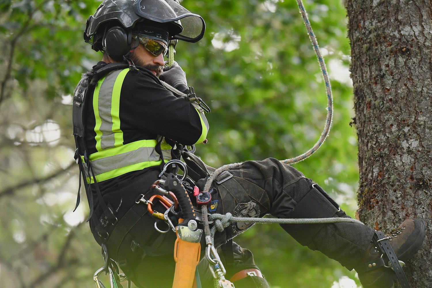 A day in the life: Oakridge tree faller Aaron Akin
