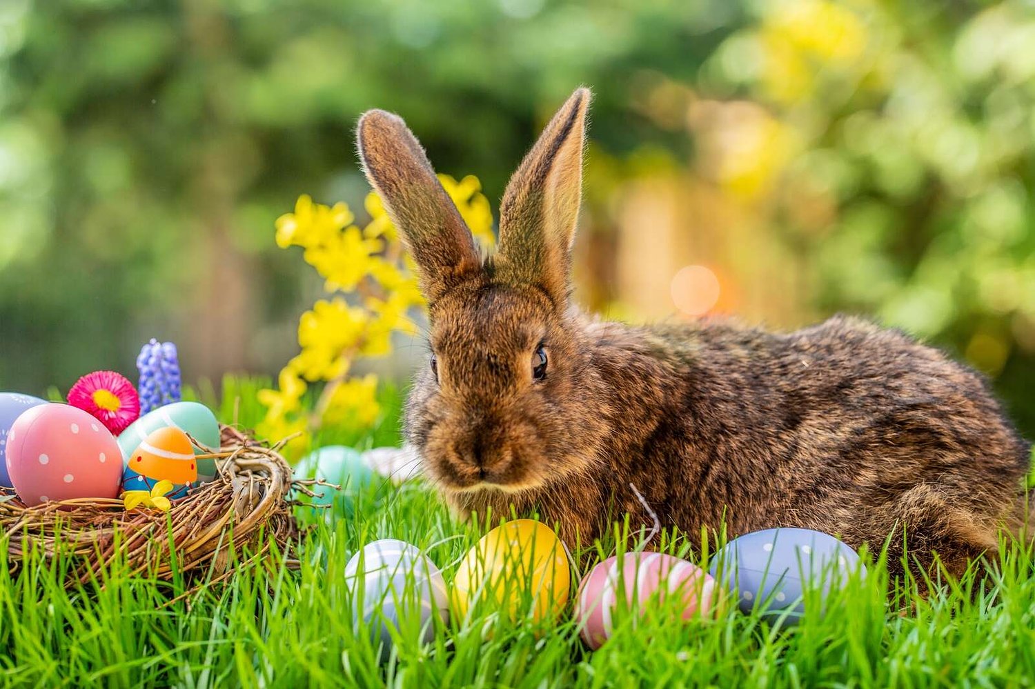 Easter services offered in the Tri-City area
