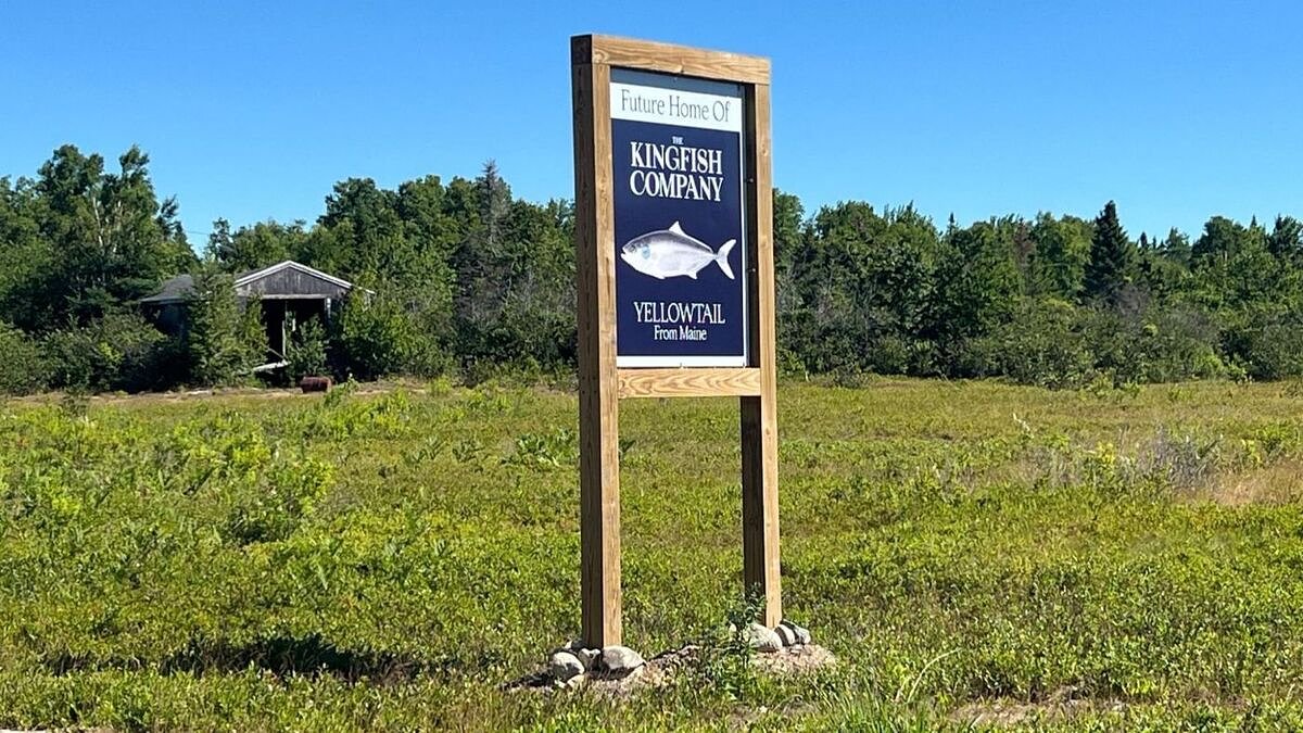 Proposed Kingfish aquaculture project in Jonesport on indefinite hold