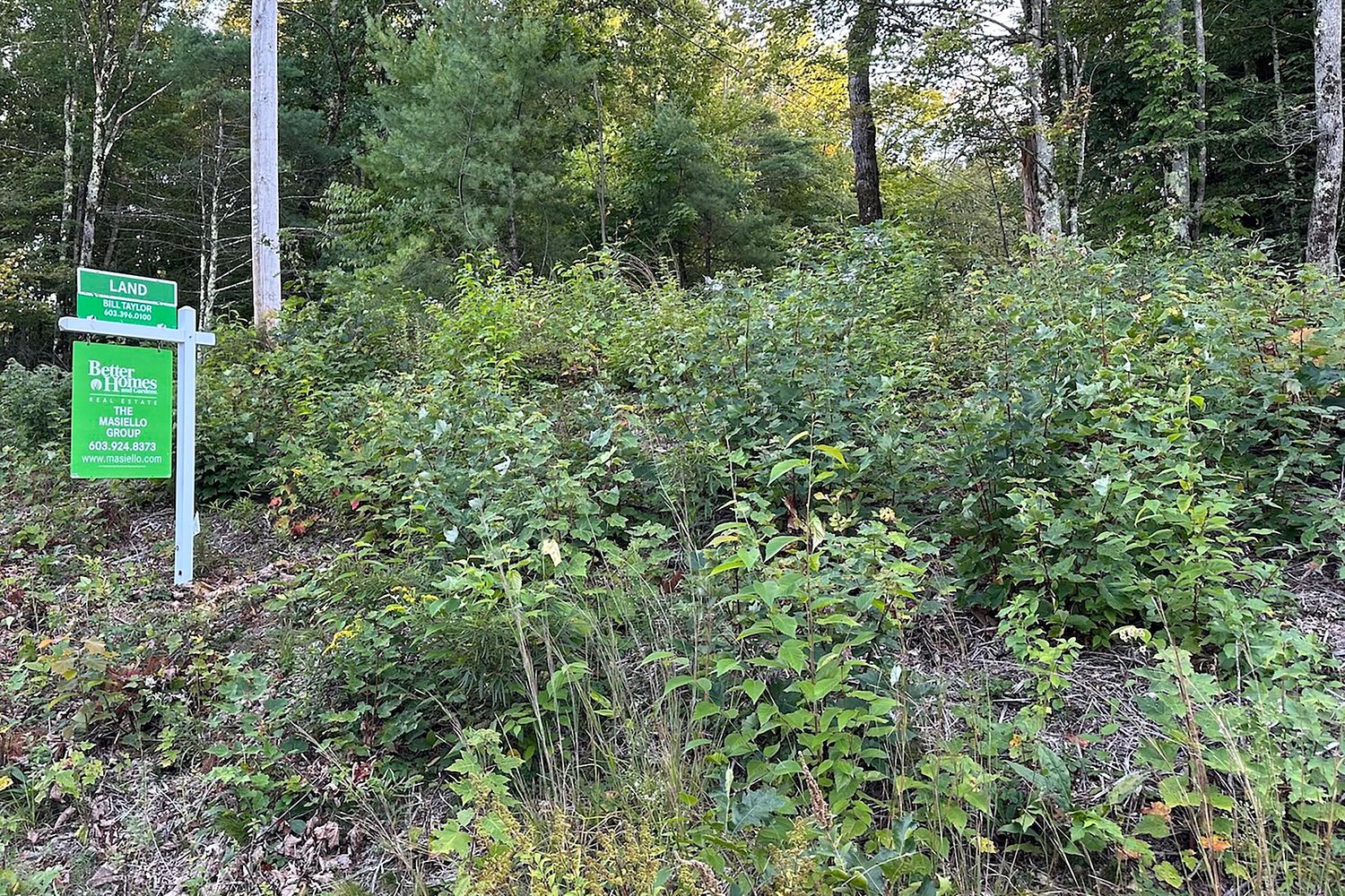 New Hampshire survey shows jump in support for small-lot single-family homes