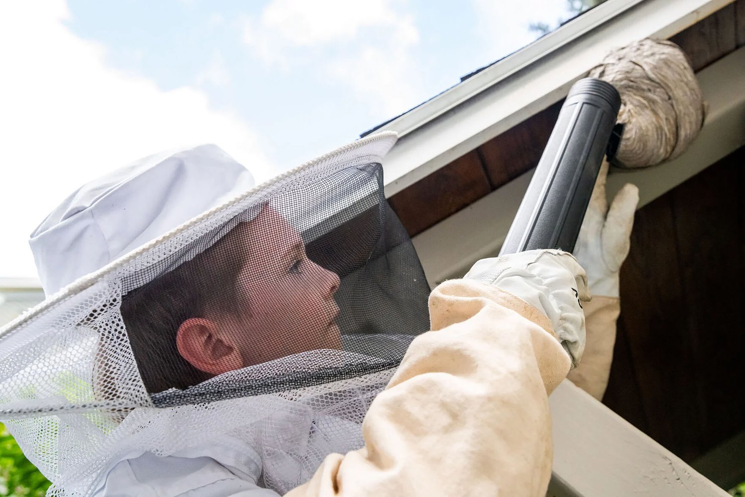 New Hampshire 11-year-old creates buzz with wasp removal service
