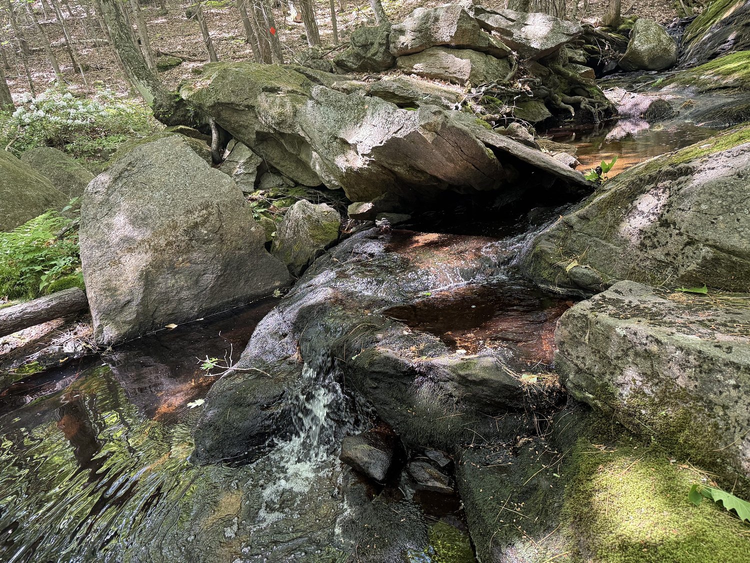 Explore Mason's Happy Trails: New trails, historic mill site, and scenic views