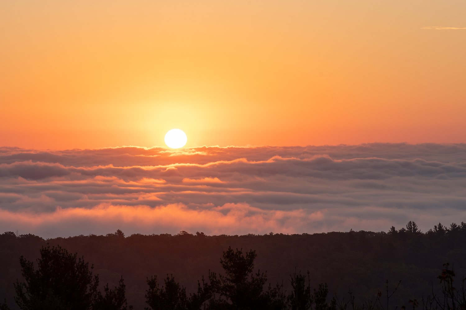 When will the ‘dangerously hot’ heat wave peak in Massachusetts?