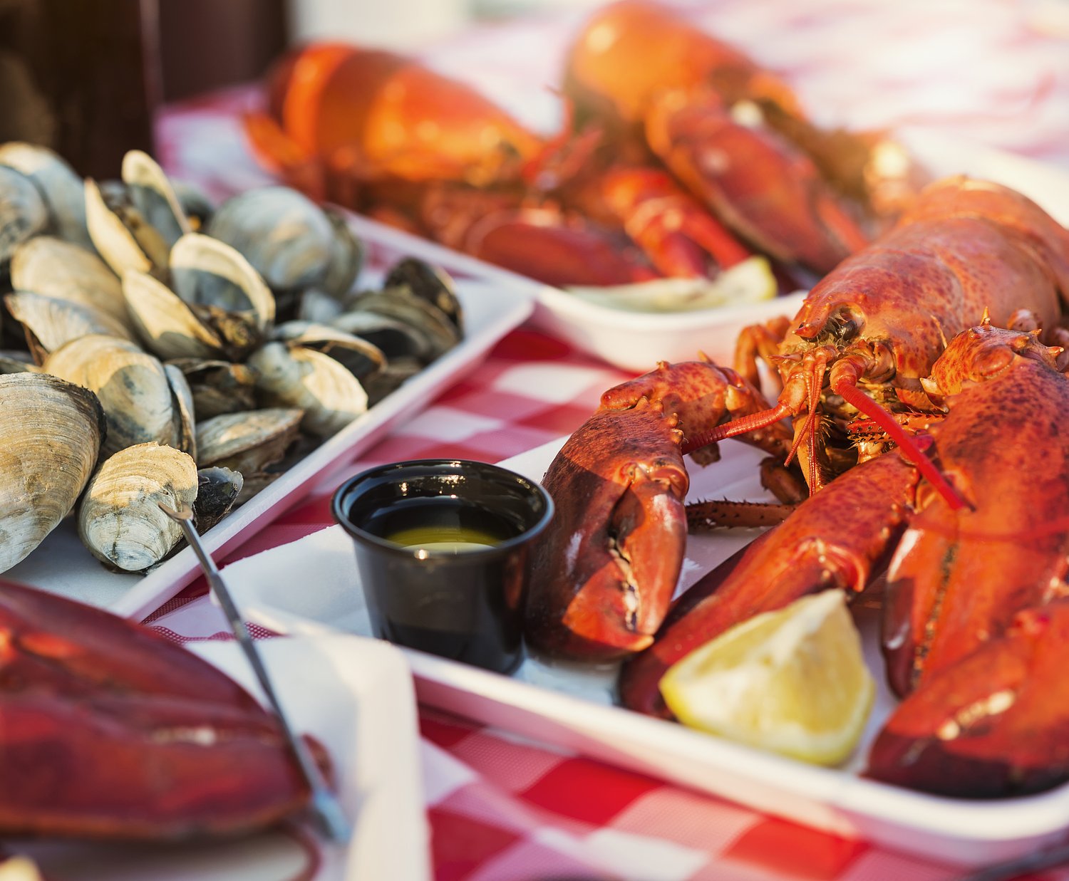 Miss Manners: Flying lobster tail wasn’t even the most embarrassing thing about this coastal lunch stop