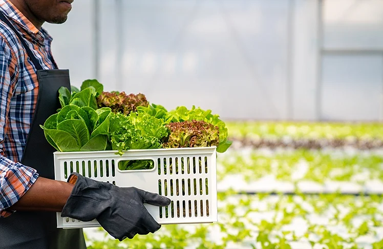 Seattle's 'Buying With Purpose' Initiative Invests $1.3 Million In Local Farms And BIPOC Food Producers