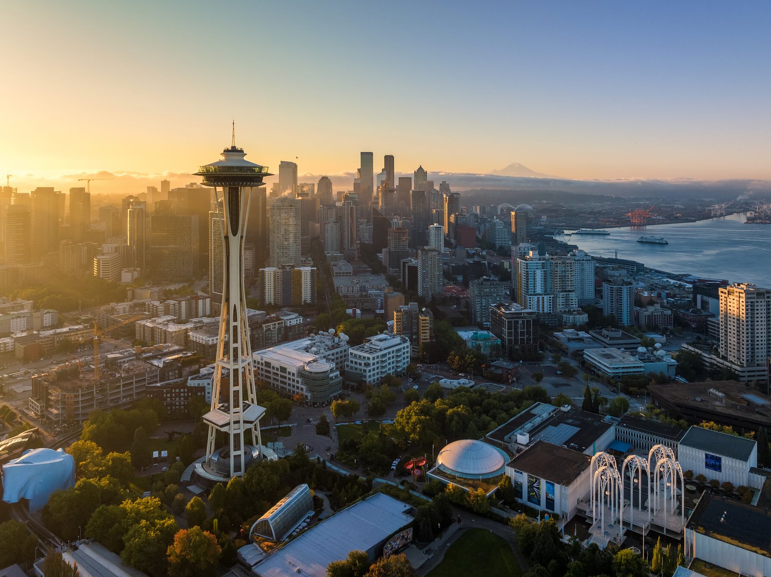 Washington state’s Jewish Democrats fight for a place in a party they no longer recognize