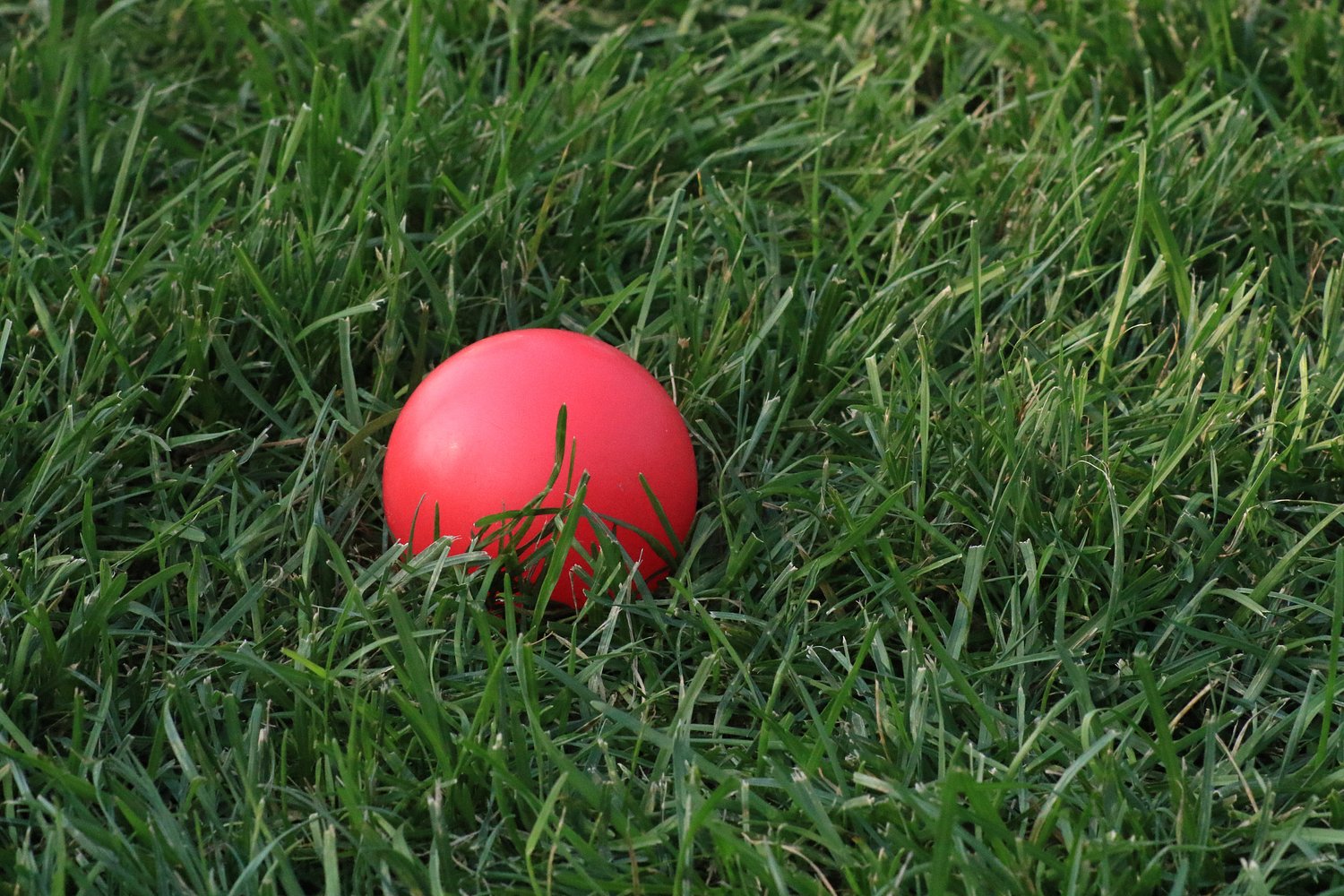 Field Hockey Roundup: Natalie LaComb’s late goal leads Westfield past Southwick