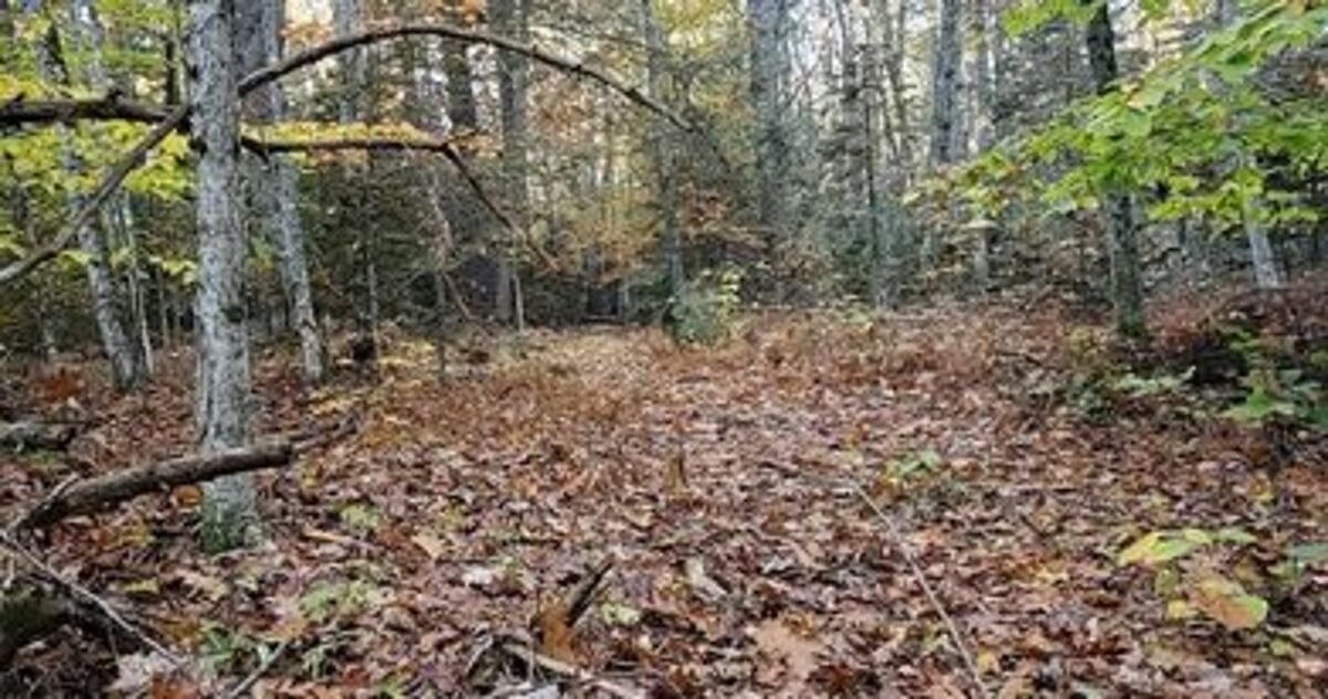 Who’s right about access and the nuances of hunting etiquette