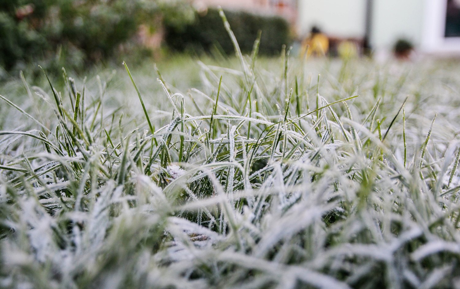 Rain, wind and a sharp cold blast expected in Massachusetts this weekend