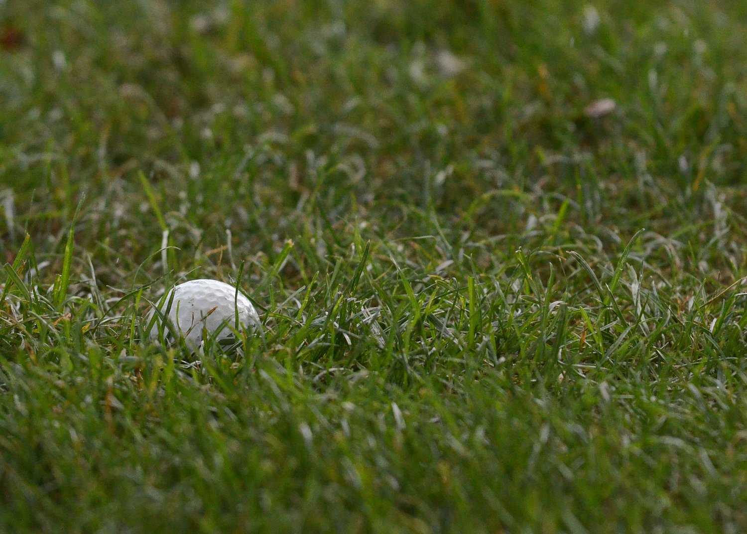 Boys Golf Roundup: Westfield Tech wins tri-match on Senior Night