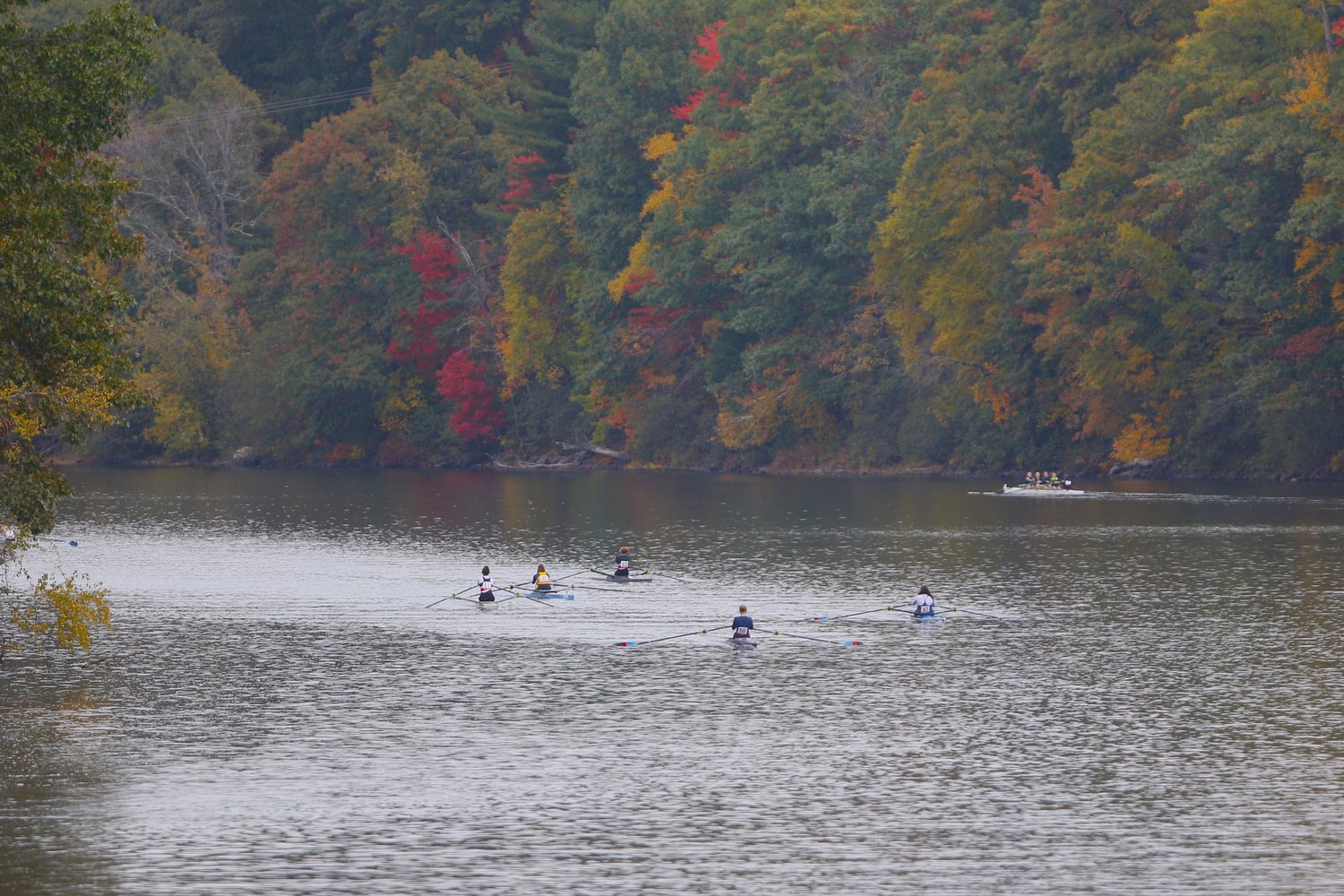 George Dirth Regatta draws crowds to Memorial Field for NH championship