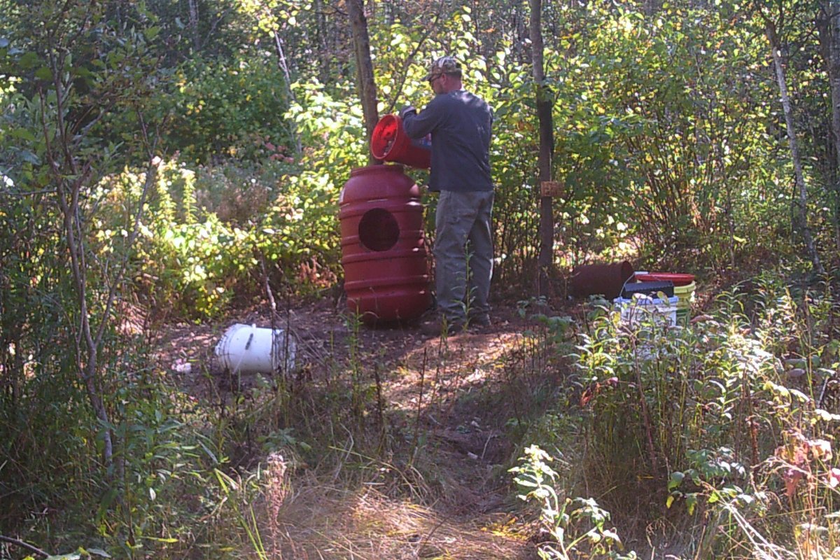 How to set up a successful bear bait site in Maine
