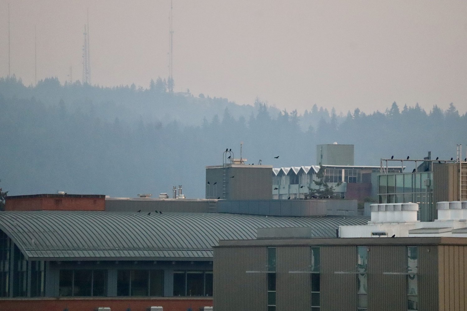 Air quality expected to improve Thursday afternoon, Friday 