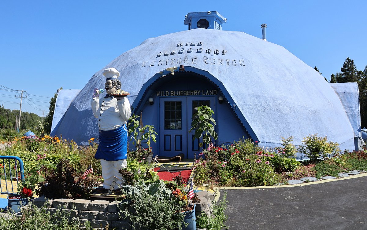 Maine’s giant wild blueberry dome is endangered and for sale