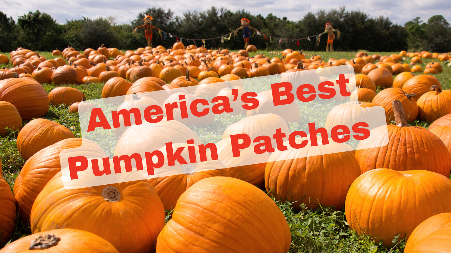 N.J. farm named among top 10 pumpkin patches in America